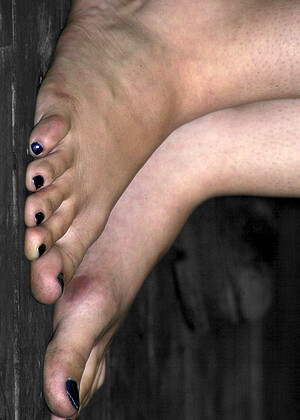 Devicebondage Sasha Grey Anemal Close Up Foto Porn