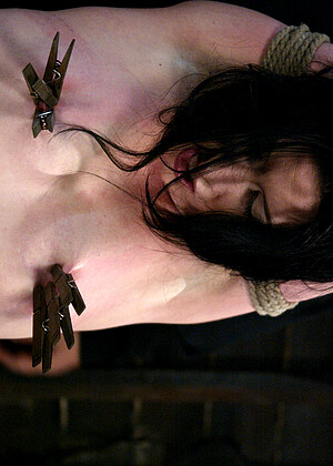 Hogtied Ariel X Ponro Close Up Pornpictar