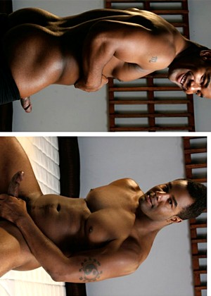 Rippedbfs Model jpg 4