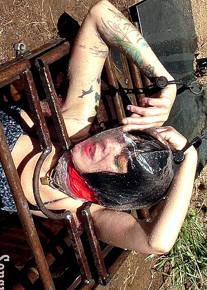 Sensualpain Abigail Dupree Sofcocknet Tattoo Pussybook jpg 6