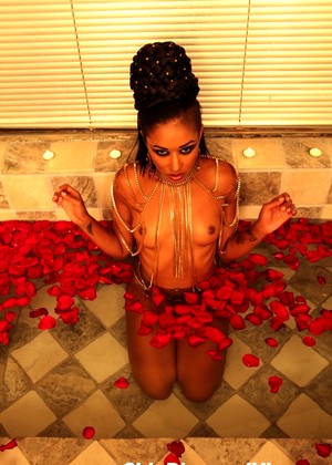 Skin Diamond jpg 5