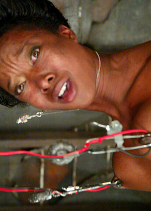 Wired Pussy Stacey Cash Panther Lesbian Ccc jpg 10