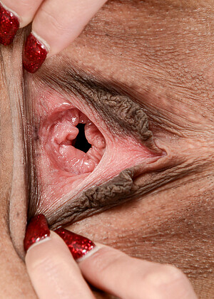 Atkexotics Katya Rodriguez Imagede Pornstar Nudeboobs Fuccking