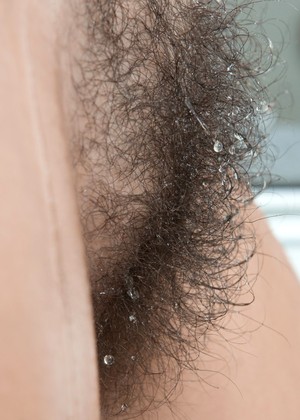Wearehairy Wearehairy Model Decent Hairy Xxxmodel