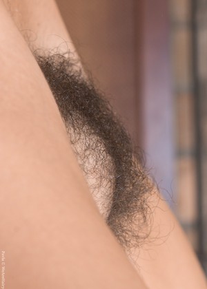 Wearehairy Wearehairy Model High Definition Amateurs Theme